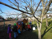 Výukový program Ptáčci v zimě